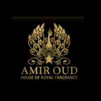 Amir Oud