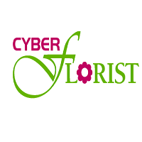 CyberGhost