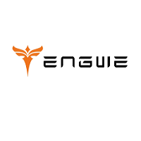 Engwe EU
