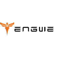 Engwe DE