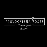 Provocateur Roses ES