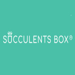Succulents Box