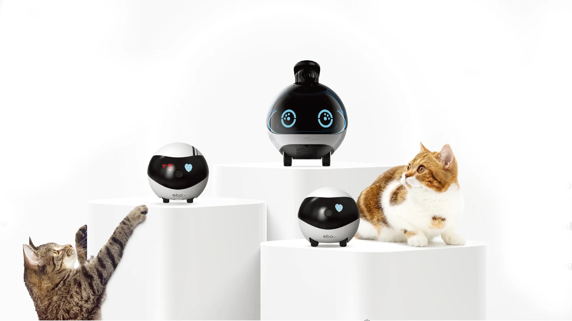 Enabot EBO Air and EBO SE robot pet cameras comparison in home environment with pets