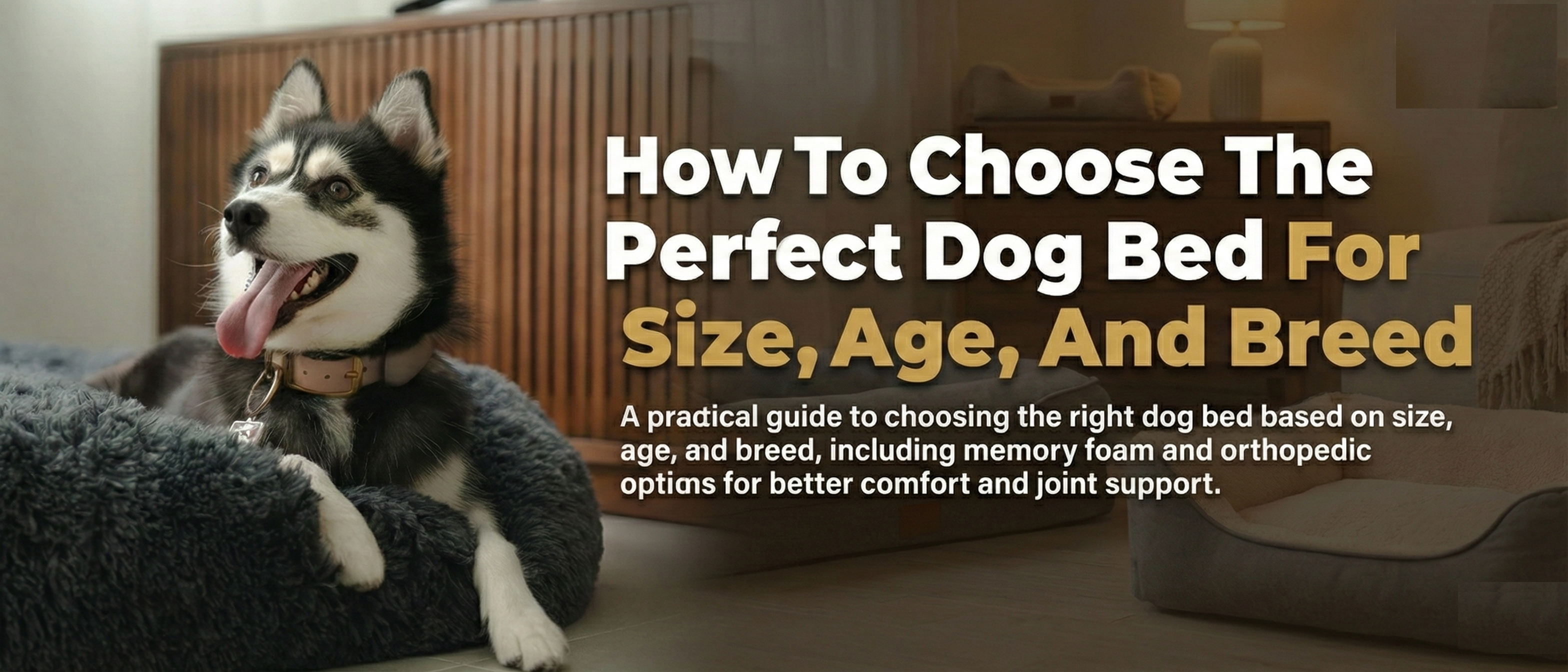 Memory Foam Dog Bed for Large and Small Dogs at The Brooklyn Pet Store ?>